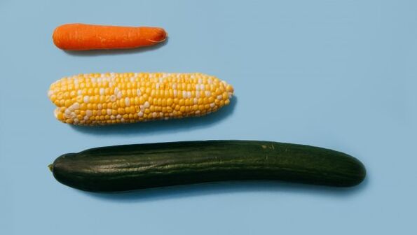 Forskellige størrelser af et mandligt medlem på eksemplet med grøntsager