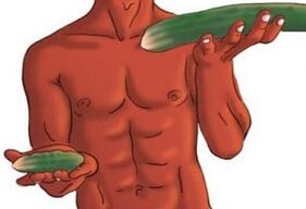 resultat af penisforstørrelse på eksemplet med agurker